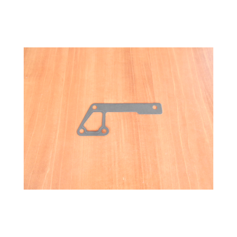 Joint de carter d'eau 300Tdi