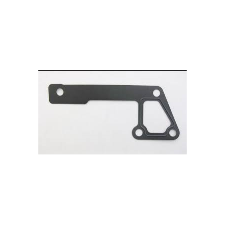 Joint de carter d'eau 300Tdi