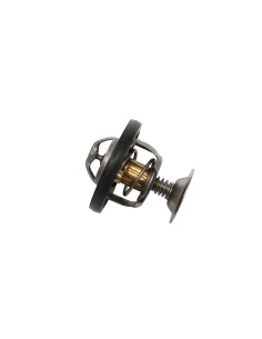 Calorstat moteur 300 TDI defender / range rover classic /...