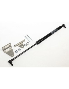 Vérin de porte AR Defender