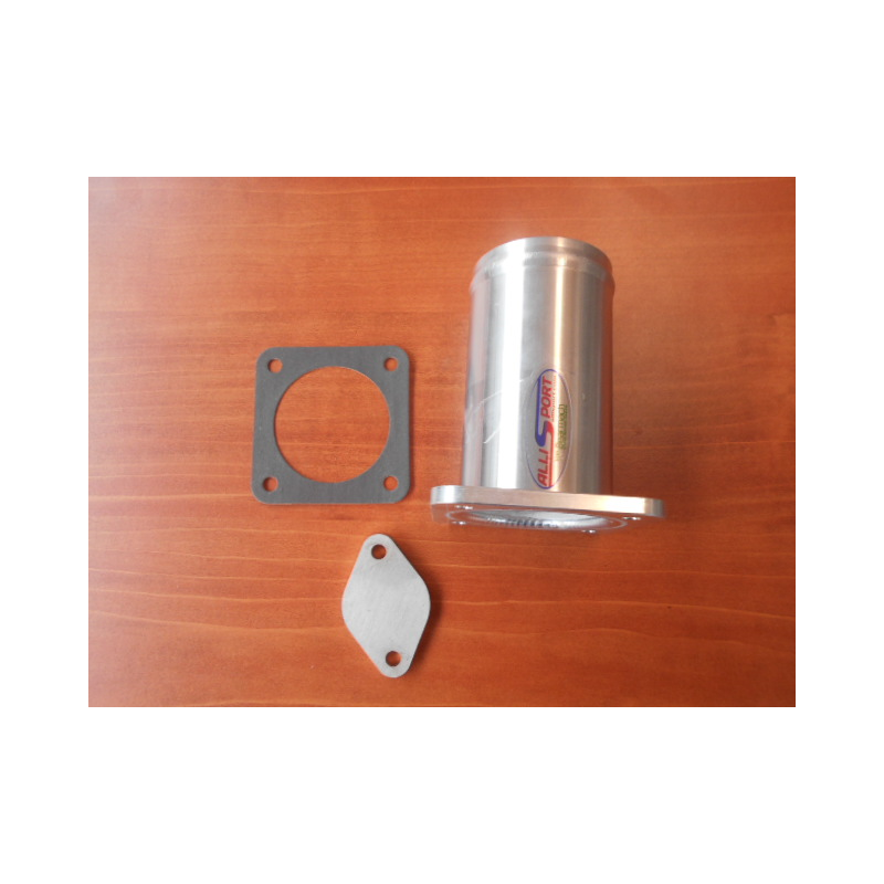 Kit Vanne EGR TD5