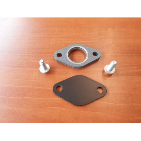 Kit Vanne EGR  300 Tdi