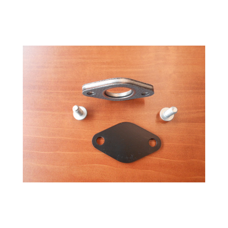 Kit Vanne EGR  300 Tdi