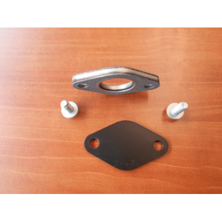 Kit Vanne EGR  300 Tdi